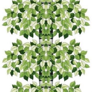 Arvidssons Textil Betula Kangas Vihreä
